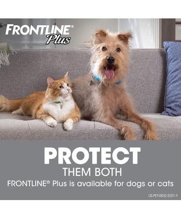Frontline Plus for Small Dogs 5-22 lbs - 3 Pack | Flea & Tick Treatment - Buy Online on GoSupps.com