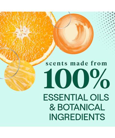Seventh Generation Dish Soap - Clementine Zest & Lemongrass, 19 oz (Pack of 6) - Eco-Friendly & Plant-Based - Buy Online on GoSupps.com