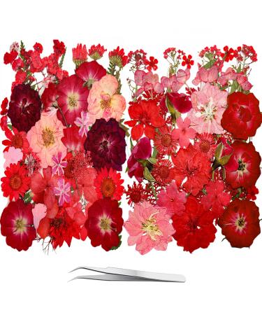 25 Types 83PCS Red Dried Pressed Flowers for Resin - Youthbro Real Nature Flowers Herb Set for DIY Jewelry Candle Soap Vase Making Nail Card Scrapbook Art Craft Floral Decors 2packs red
