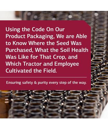 Standard Process Til B12 Capsules - Immune Support with Whole Food Ingredients - 90 Count - Buy Online on GoSupps.com