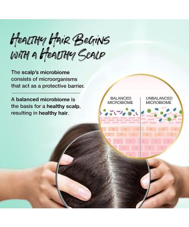 BIOTERA Anti Frizz Intense Smoothing Shampoo and Conditioner - Vegan Formula for Frizzy Hair - 32 Fl Oz - Buy Online on GoSupps.com