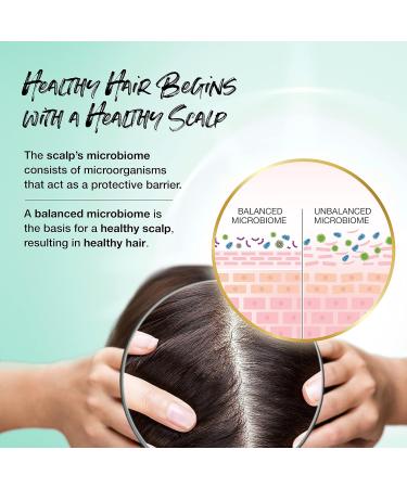 BIOTERA Moisturizing Restoring Shampoo and Conditioner Set - 32 Fl Oz (Pack of 2) | For Dry, Medium, Fine Hair | Vegan & Microbiome Friendly - Buy Online on GoSupps.com