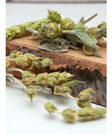 Direct & Friendly Organic Mountain Tea - Sideritis Scardica Loose Herbal Tea from Greece (100g) - Buy Online on GoSupps.com