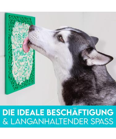 Dog is K nig Leak Mat for Dogs - Patented Suction Cup Design 2-Pack (22x22cm) with Spatula & Recipes Book - Food-Safe & Dishwasher-Resistant in Mint Green & Habanero Yellow - Buy Online on GoSupps.com