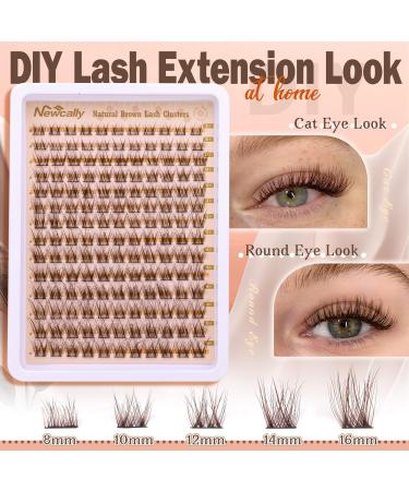 Buy Brown Wispy Lash Clusters - DIY Faux Mink C Curl Eyelash Extensions by Newcally Lashes - Buy Online on GoSupps.com