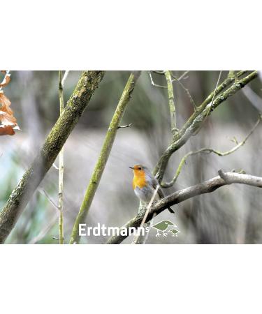 Erdtmanns Fatty Bird Feed 1 Kg - Pack of 4 - Buy Online on GoSupps.com