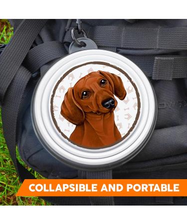 Portable Silicone Dog Bowl for Dachshunds - Lightweight & Foldable with Carabiner Hooks | Ideal for Walks & Hikes - Buy Online on GoSupps.com