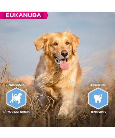 Eukanuba Daily Care Dry Dog Food Weight Control For Large Breed Chicken 2.3kg - Buy Online on GoSupps.com