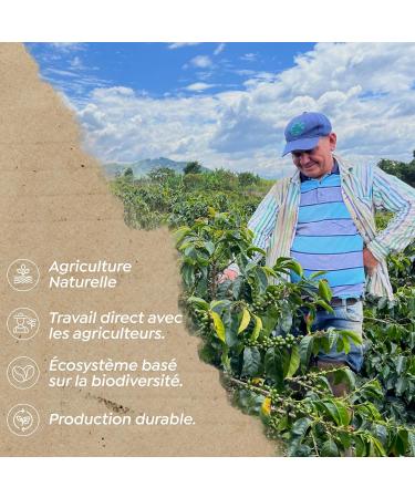 Caf en Grains de Sp cialit | Colombia | 100% Arabica | 84 Points SCA | Natural | Neiva Huila | 500g | 69 CrazyBeans Specialty Coffee beans | Grains de Caf Arabica Naturel - Buy Online on GoSupps.com