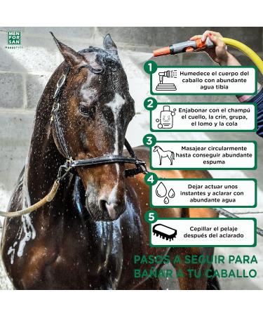 MENFORSAN Flea Shampoo for Horses 5L with Margosa Geraniol and Lavandin Protects Against All Insects - Buy Online on GoSupps.com