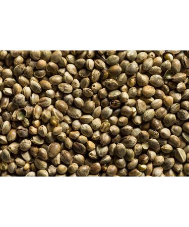 Canah Organic Whole Hemp Seeds - Roasted 1 kg Vegetarian High in Protein Fiber Omega 3 & Omega 6 Amino Acids Vitamins and Minerals Certified Kosher - Buy Online on GoSupps.com