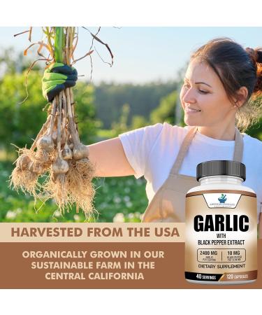 Garlic Capsules Organic 2400mg & Organic Black Pepper Extract  Garlic Supplements  Garlic Pills  Garlic Capsules  Garlic Extract Alternative to Garlic Oil  Garlic Softgels  Garlic Tablet  120 Veg Cap - Buy Online on GoSupps.com