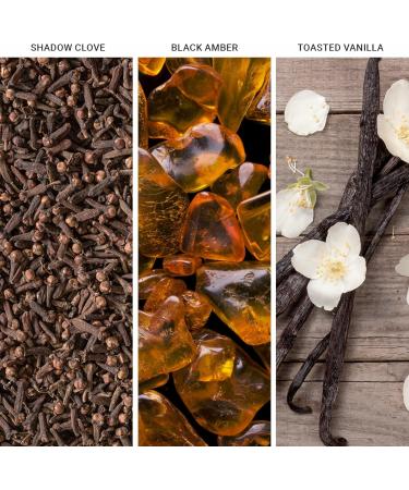 Hotel Collection x Star Wars - The Empire - Dark Side - Aromatherapy Essential Fragrance Oil - Toasted Vanilla Shadow Clove & Black Amber 1.7 fl oz 50 mL The Empire 1.7 Fl Oz - Buy Online on GoSupps.com