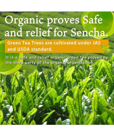 Japanese Green tea Powder Sencha Powder Konacha Japanese Tea 80g Bag Melts quickly with hot water YAMASAN  - Buy Online on GoSupps.com
