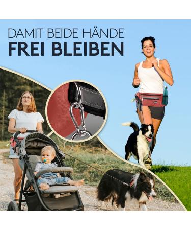 Pawzone Futter Bag for Dogs - Treat Pouch with Reflector Strap & Belt - Perfect Dog Accessory (Rust Red) - Buy Online on GoSupps.com