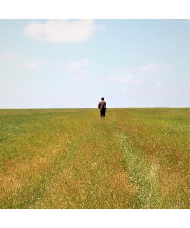 The Barbers House Retro Red Ferrari Razor - 100% Made in France | Premium Quality Shaving Blade for Men - Buy Online on GoSupps.com