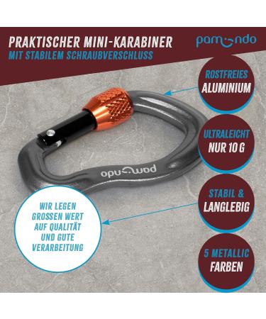 Pamindo Mini Carabiner Set - Screw Cap Aluminum Key Ring Hooks (2x Anthracite) for Outdoor & Travel - Buy Online on GoSupps.com