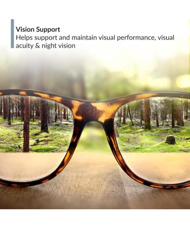 BioTRUST Ageless Sight Blue Light Protection Promotes Optimal Eye Health Visual Performance and Brain Health Support for Digital Eye Strain Non-GMO Gluten-Free 30 Soft gels 30 Count (Pack of 1) - Buy Online on GoSupps.com