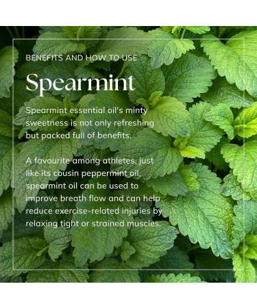 Nikura Spearmint Essential Oil 30ml - 100% Pure Natural Oil for Aromatherapy, Diffusers, and Self Care | Vegan & UK Made - Buy Online on GoSupps.com