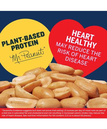 PLANTERS Salted Cocktail Peanuts - 16oz Canister | Plant Based Protein Party Snacks - Buy Online on GoSupps.com