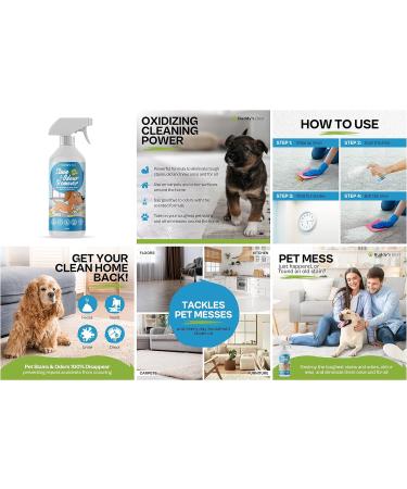 Stain & Odour Remover For Dogs | Enzyme Dog Urine Neutraliser | 500ml - Buy Online on GoSupps.com