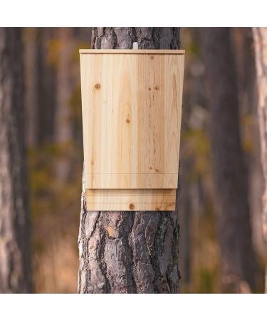 XL Bat Box Nesting Habitat | Solid Wood Garden Animal Shelter 55x35x7.5cm | Natural Untreated Wood - 10028879 - Buy Online on GoSupps.com
