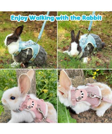 3-Piece Adjustable Rabbit & Cat Leash Set | Durable 120cm Leash & Cat Dishes for Dwarf Rabbits | Ideal for Cats & Small Pets (1-3kg) - Buy Online on GoSupps.com
