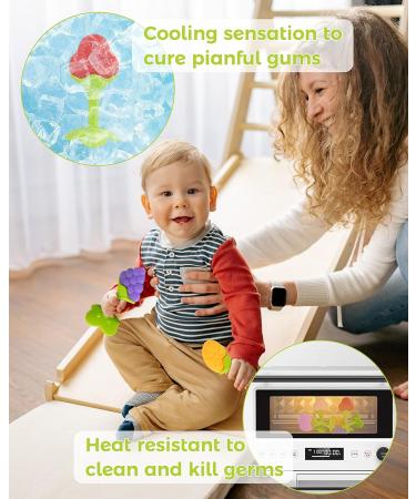 10 Pack Silicone Baby Teething Toys - BPA-Free, Organic & Textured Fruit Shapes - Buy Online on GoSupps.com
