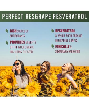 Perfect Supplements Perfect ResGrape Resveratrol 60 Veggie Capsules Trans-Resveratrol & Organic Muscadine Grape 1 - Buy Online on GoSupps.com
