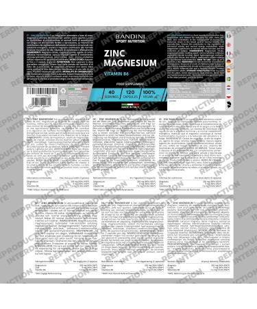Bandini Zinc Magnesium ULTRA | Complexe Zinc + Magn sium + Vitamine B6 | Compl ment avec Dosage Optimal | Facilite la prise de Masse et la R cup ration Musculaire 120 unit s 120 unit (Lot de 1) - Buy Online on GoSupps.com