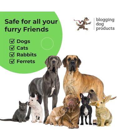 Long Lasting Dog Perfume Spray - Premium Pet Odor Eliminator and Cologne - Refreshing Cucumber Melon Deodorizer for Smelly Dogs - Buy Online on GoSupps.com