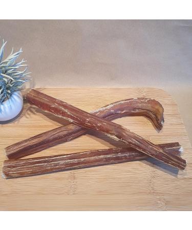 Extra Long Bulls Pizzle Bully Sticks 24cm Long Lasting Healthy Chew. 3 or 5 pack. (3 pack) 3 count (Pack of 1) - Buy Online on GoSupps.com