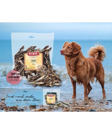 DIBO Fish Dog Treats - 200g Snacks for Dogs | Healthy In-Between Meal Options | International Shipping Available - Buy Online on GoSupps.com