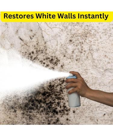 Anti Mould Spray Paint and Mould Remover Set - Bundle Includes Rapide Anti Mould White Spray Paint Astonish Mould and Mildew Remover Scrubbing Brush Pair of Disposable Gloves - Buy Online on GoSupps.com