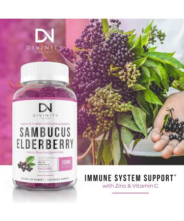 Sambucus Black Elderberry Gummies with Zinc, Vitamin C - Immunity Support - 120 Gummies - Buy Online on GoSupps.com