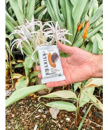 Elemental Superfood Dark Chocolate Almond Butter Seedbars - 12 Pack, 1.8 oz, Non-GMO, Organic, Gluten-Free, Dairy-Free, Plant Based - Buy Online on GoSupps.com