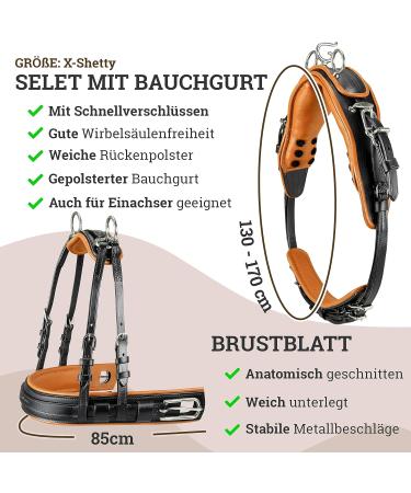 Shop Esposita Professional Carriage Dishes for Shetlands Ponies & Horses - Black & Bright Brown X-SHOTY | International Shipping Available - Buy Online on GoSupps.com