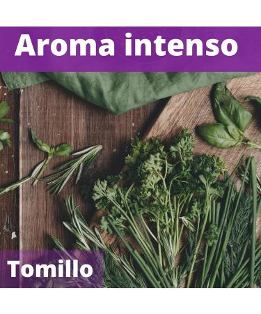 Essential Thyme Oil with Turquoise - 15ml | Boost Immune System & Energy | 100% Natural & Cruelty-Free - Almasa - Buy Online on GoSupps.com