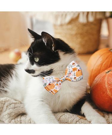 Fall Bow Tie Pumpkin Cat Collar Set with Bell | Autumn Thanksgiving Harvest Holiday Collar for Cats | Pumpkin Patch Design for Boys and Girls - Buy Online on GoSupps.com