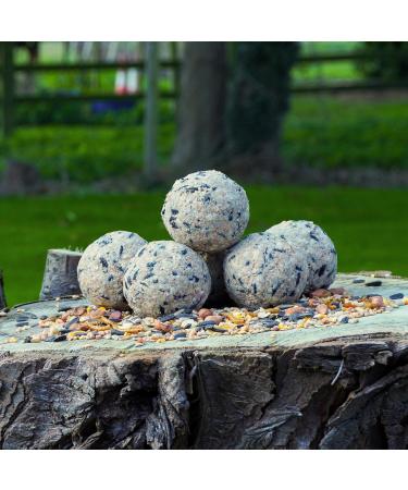 Suet Shop Supreme Suet Fat Balls 80g x 30 - High Energy & Protein for Wild Birds - Buy Online on GoSupps.com