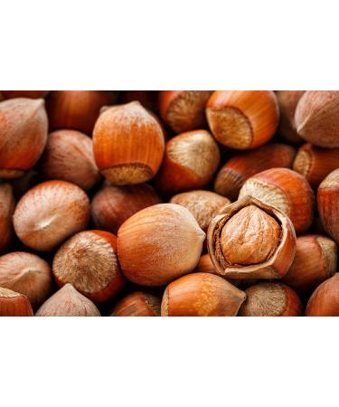 Premium 2 kg Raw Hazelnuts in Shell from Poland | Carton Packaging | Fresh and Natural | Buy Now! - Buy Online on GoSupps.com