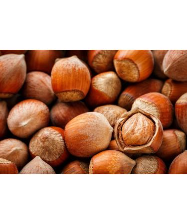 Raw Hazelnuts in Shell from Poland | 2 kg | Premium | Packaging: Cardboard - Buy Online on GoSupps.com