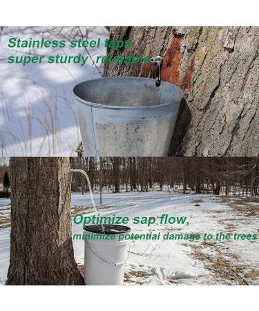 Maple Syrup Tapping Kit Maple Syrup Taps Stainless Steel Maple Syrup Taps Weatherproof Tree Taps for Syrup Easy to Use Maple Syrup Supplies for Outdoor Style 1 Silver - Buy Online on GoSupps.com
