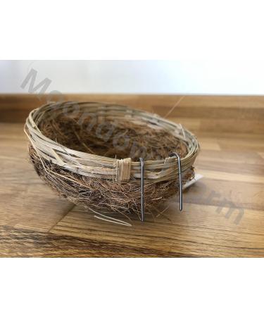 Canary Nest Pans 5 PACK 11cm Wicker - Coco with hooks to rear for Canaries - Buy Online on GoSupps.com