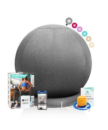 Enovi ProBalance Ball Chair, Yoga Ball Chair Exercise Ball Chair with Slipcover and Base for Home Office Desk, Birthing & Pregnancy, Stability Ball & Balance Ball Seat to Relieve Back Pain, Multiple color size Deepspace Grey 65cm (Height 5'4" - 5'10")