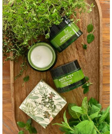 Tiande Facial cream with white tea against wrinkles and pigment spots 50g TIANDE 17101 for men and women has an optimal protection level of SPF 10 - Buy Online on GoSupps.com