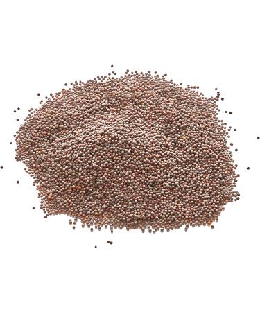 Old India Mustard Seeds Brown 5kg - High Quality Spice for Cooking - Pack of 1 - Buy Online on GoSupps.com