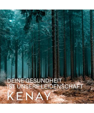  kenay Lion's Mane Vegan Capsules - 60 Count - Buy Online on GoSupps.com