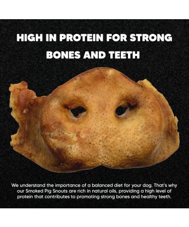 Premium Feeders Smoked Pig Snout for Dogs 10 Pig Snouts Made in Canada - Natural Loyalty Dog Treats for Large Dogs - Healthy Dog Chew - High Protein Treat - Strong Bones Shiny Fur Healthy Skin - Buy Online on GoSupps.com