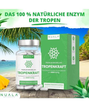 Bromelain 6000 F.I.P. - 120 Natural Capsules 600mg Each Gastric Juice Resistant No Additives - High Dose Supplement for Optimal Health - Buy Online on GoSupps.com